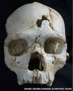 насилие, череп 450 лет, ученые, находка древнего, раскопки, человек насилие