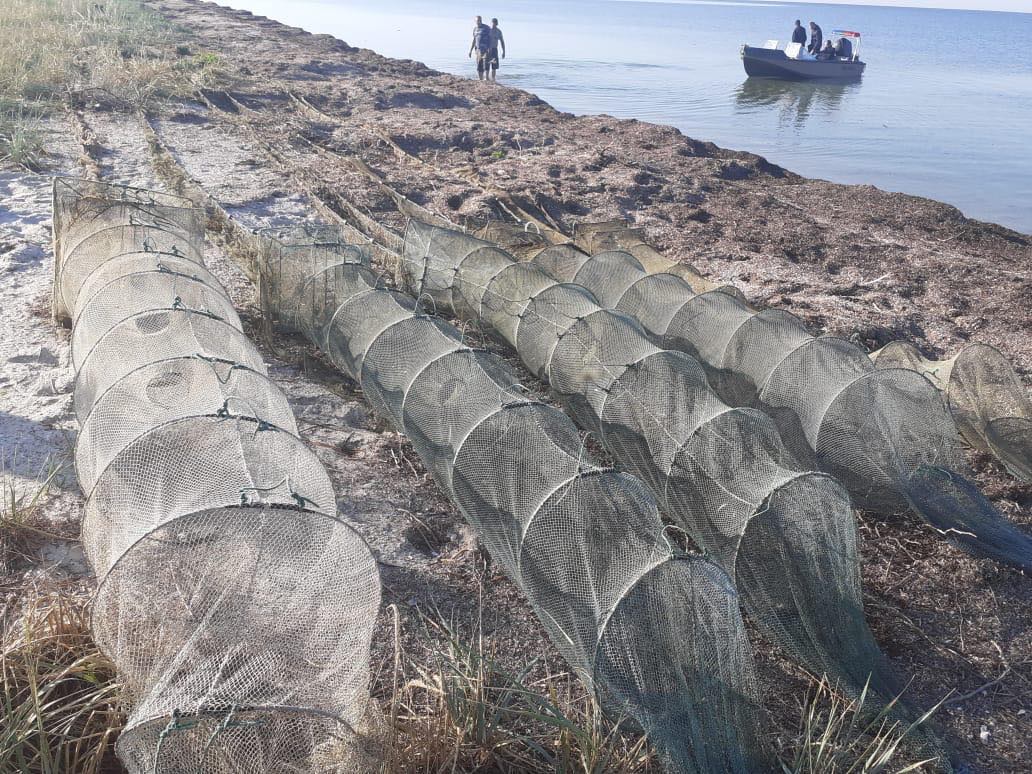 На Херсонщине браконьеры наловили креветок и рыбы на 100 тысяч гривен