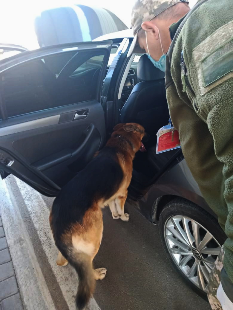 Служебный пес Гектор помог пограничникам на Херсонщине обнаружить наркотики