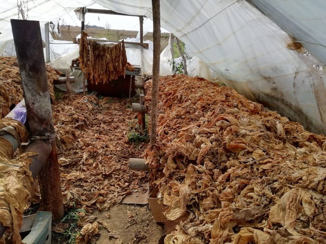 В Херсонской области остановлено нелегальное производство табачного сырья