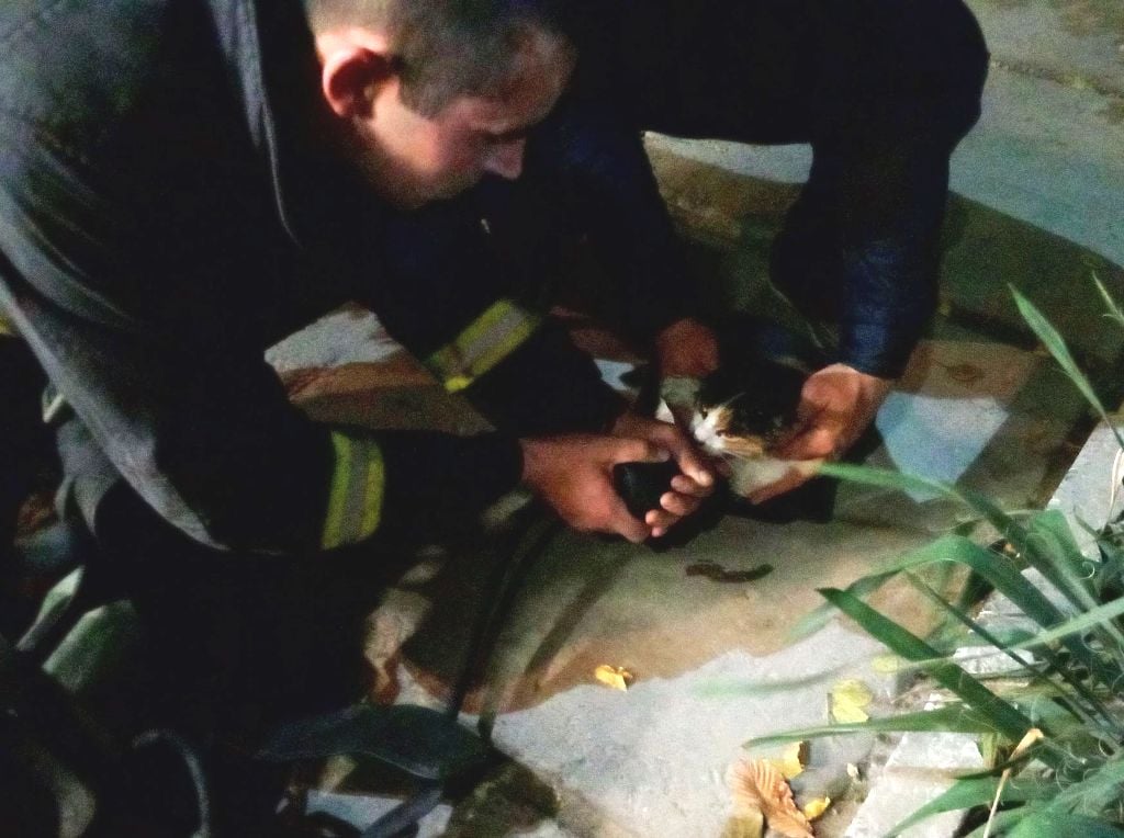 На Херсонщине во время пожара пожарные спасли мужчину и его кота