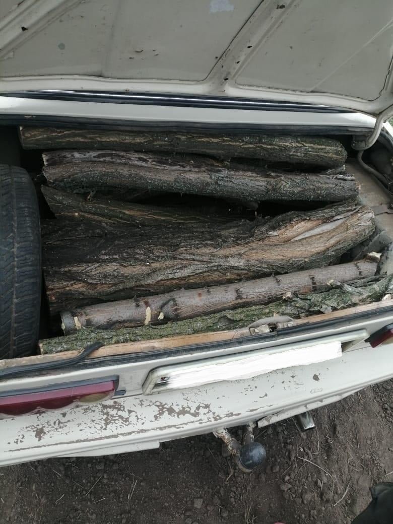 Горностаевские полицейские уличили местных жителей в спиливании деревьев акации