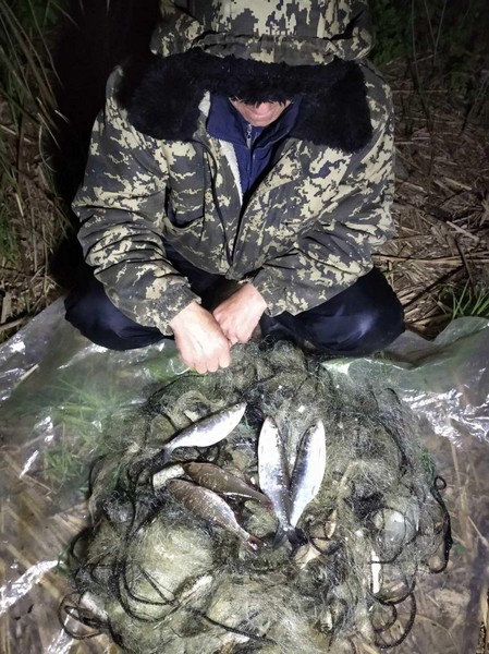 На Херсонщине за неделю сотрудники рыбоохранного патруля выявили более полутора центнера браконьерского улова