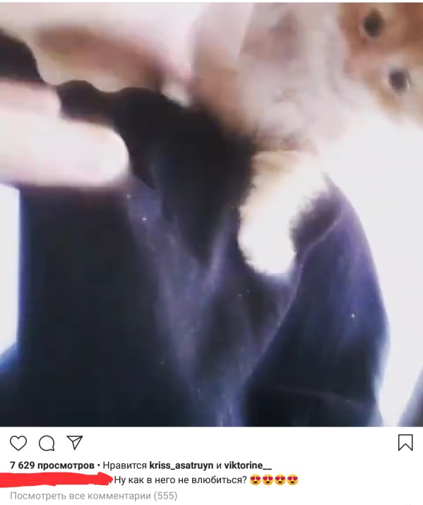 Херсонка, которую подозревают в жестоком обращении с котенком, публиковала в соцсети фото и видео с ним