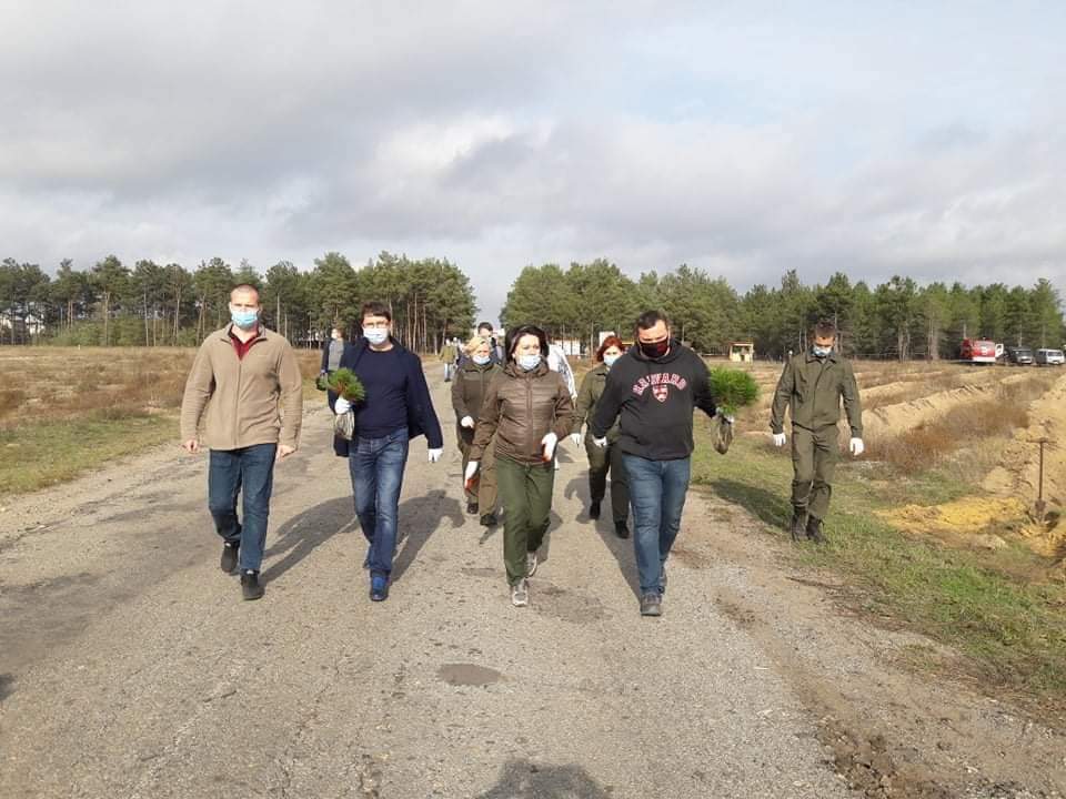 Озеленение Украины: на Херсонщине высадили новую партию деревьев