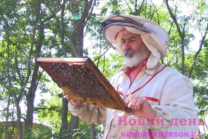 День пчеловода: самая большая пасека на Херсонщине насчитывает 200 пчелиных семей