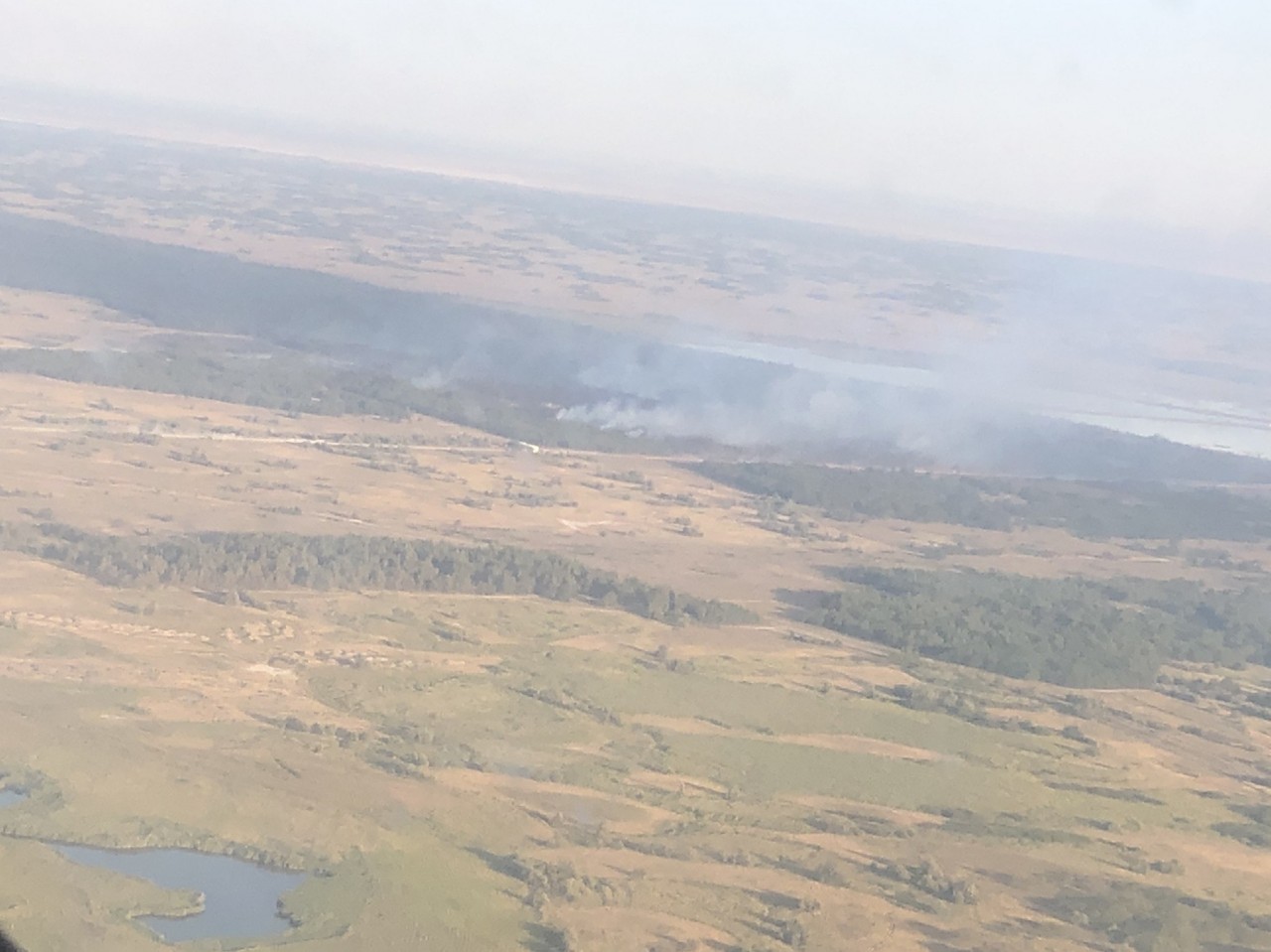 Масштабный лесной пожар на Херсонщине: привлекли авиацию и пожарные танки