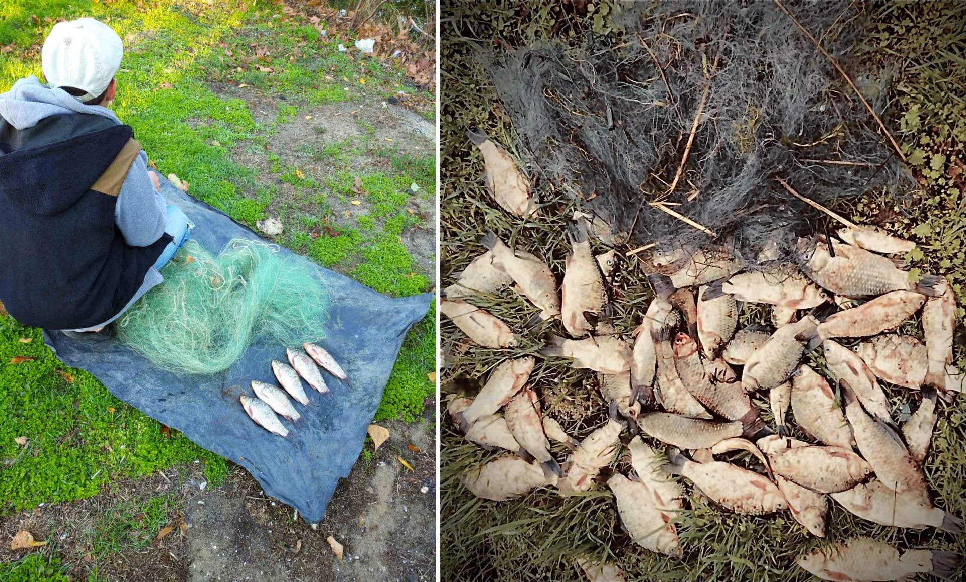За сутки на Херсонщине обнаружили трех браконьеров: сумма ущерба, нанесенного природе — почти 3 тысячи гривен