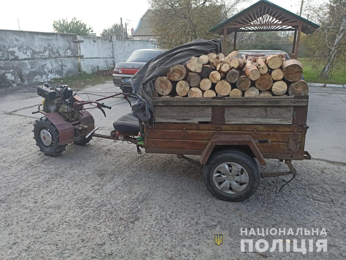 Сосновый лес на дрова: на Херсонщине полицейские обнаружили двух нарушителей законной заготовки древесины