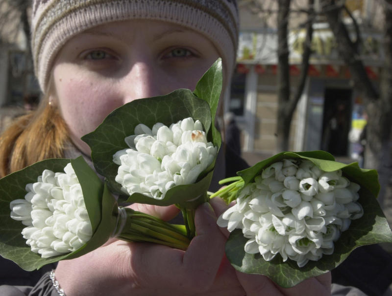 Подснежники К 8 Марта Купить В Москве