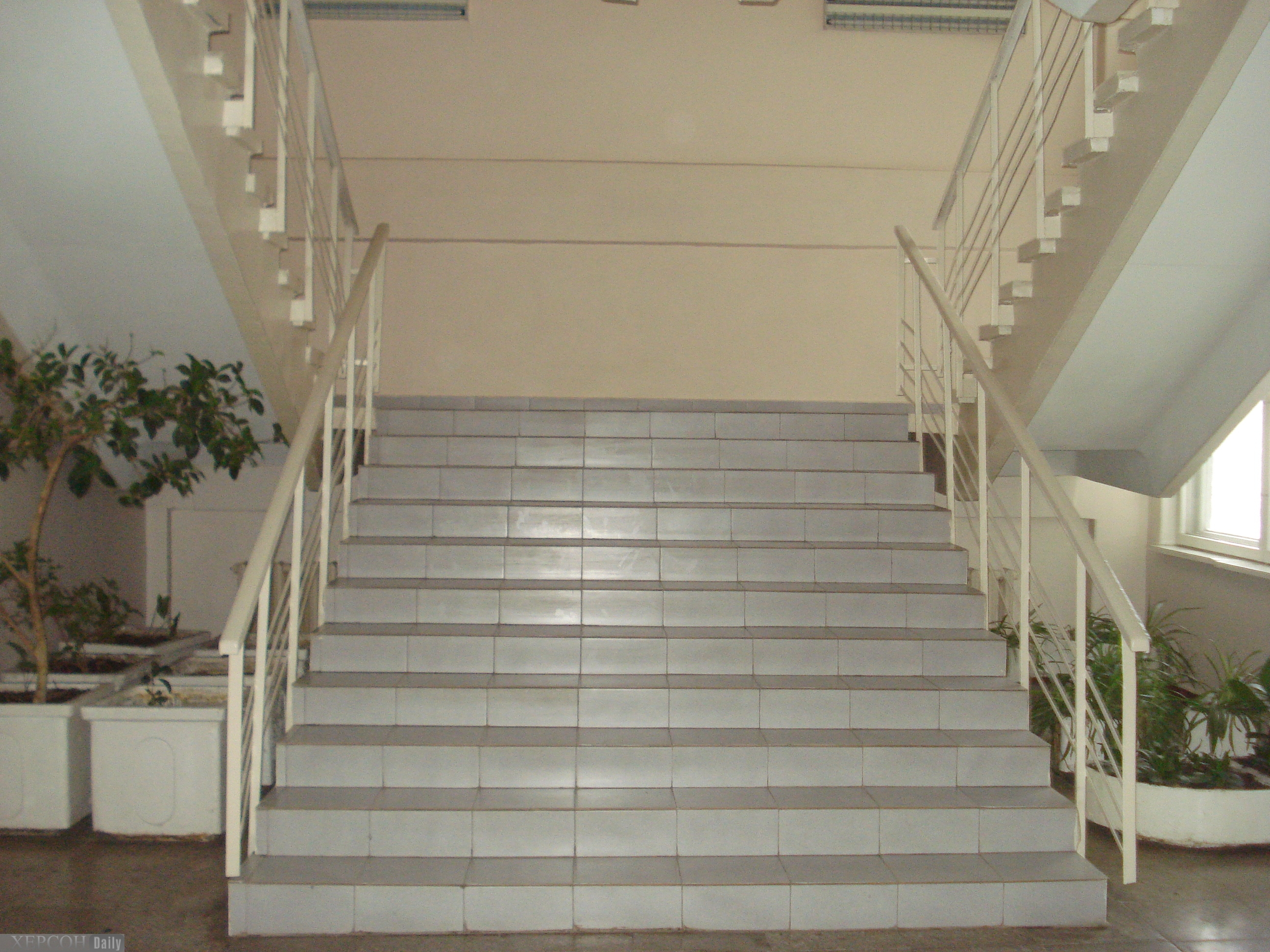 Второй этаж в школе. Лестница в школе. Лестница в больнице. Парадная лестница в школе. Лестничные ограждения в школе.