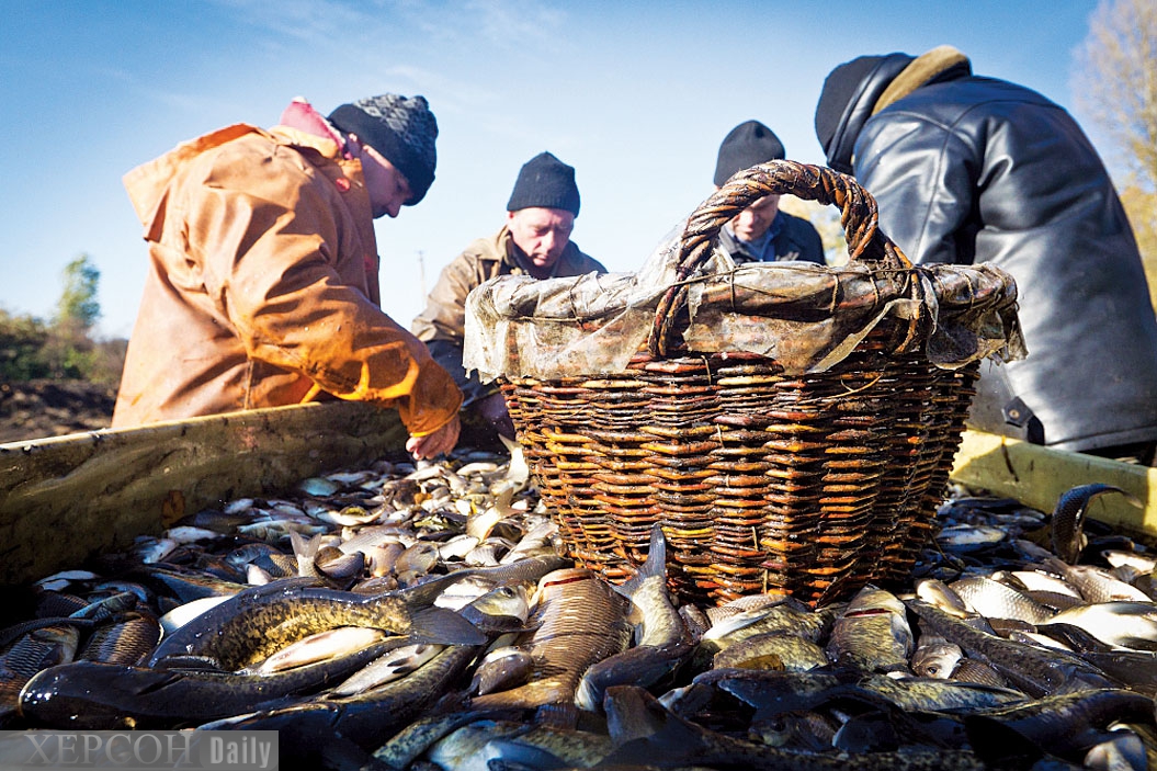 Сельское хозяйство и промыслы. Рыболовство это сельское хозяйство. Улов рыбы. Рыбные промыслы. Рыбный промысел.
