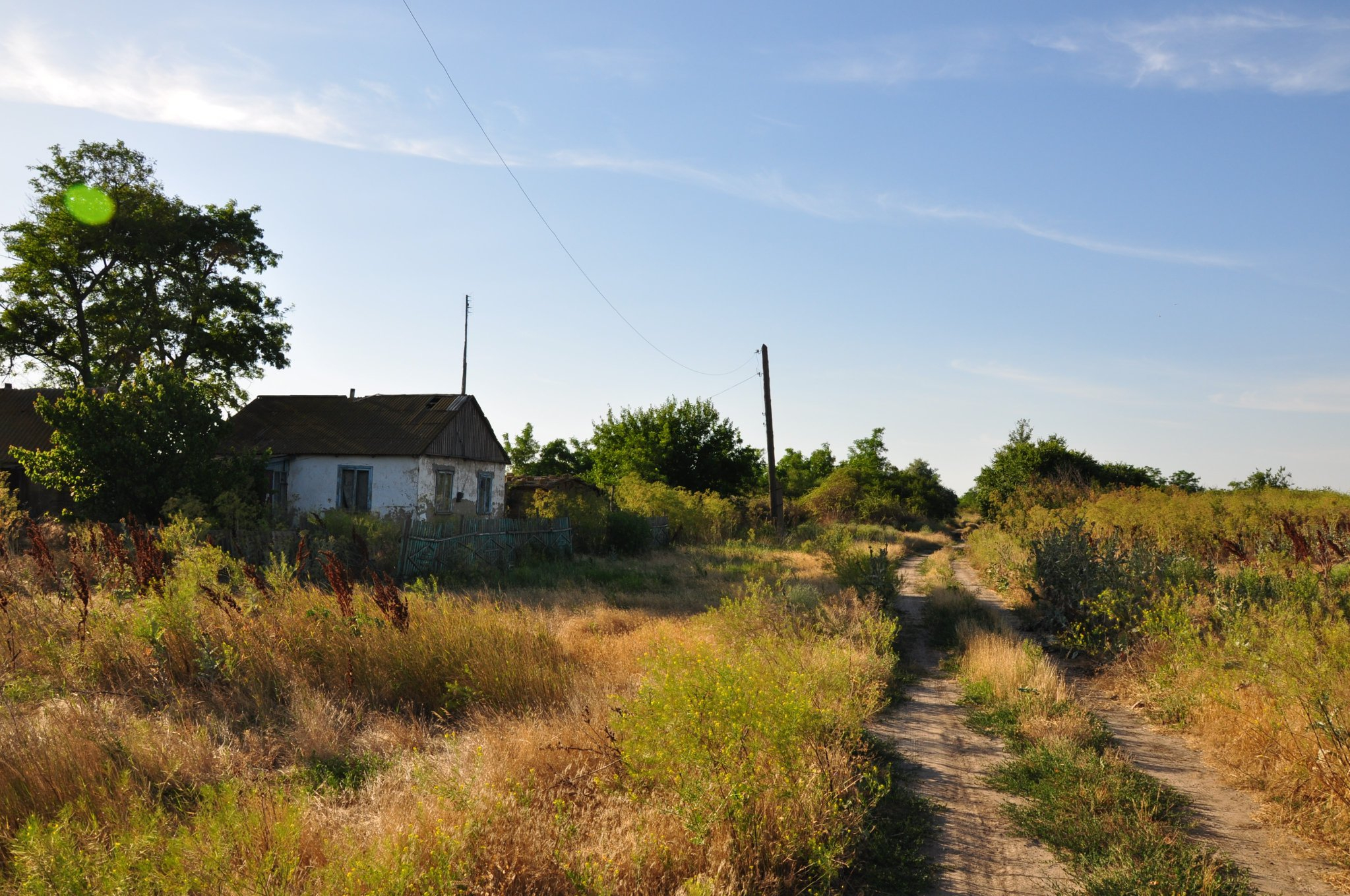 Херсонской село. Херсонские деревни. Село зеленый Гай Херсонская область. Александровский район Херсонская область. Село Миролюбовка вымерло Херсонская область.