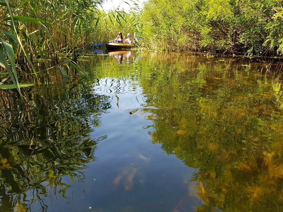 Херсонские плавни фото