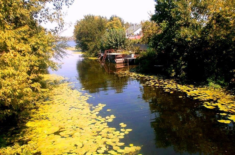 Херсонские плавни фото