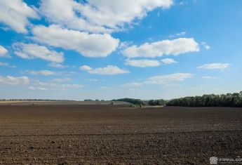 На лівобережній Херсонщині російські фермери переоформлюють на себе поля аграріїв, які відмовились співпрацювати з окупантами