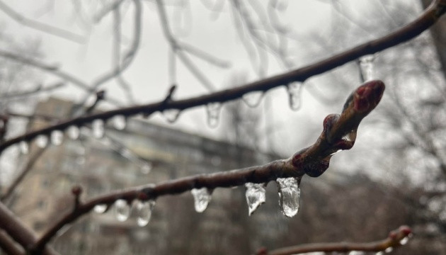 Дощі в Україні прогнозують до вихідних, у Карпатах - мокрий сніг