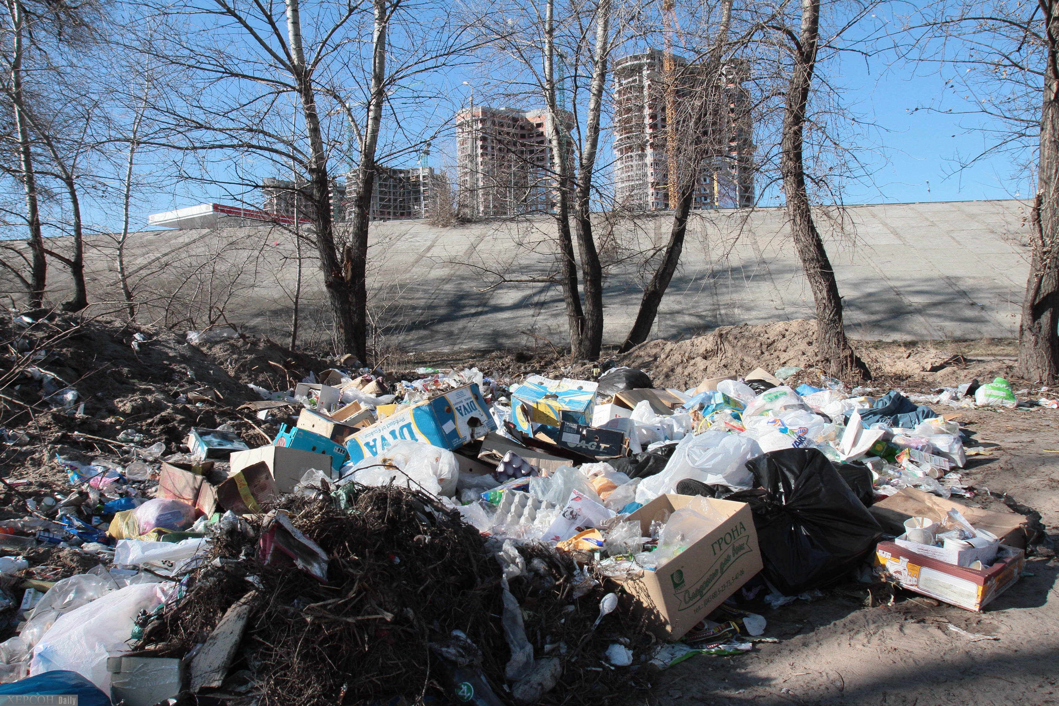 Фото помойки в городе