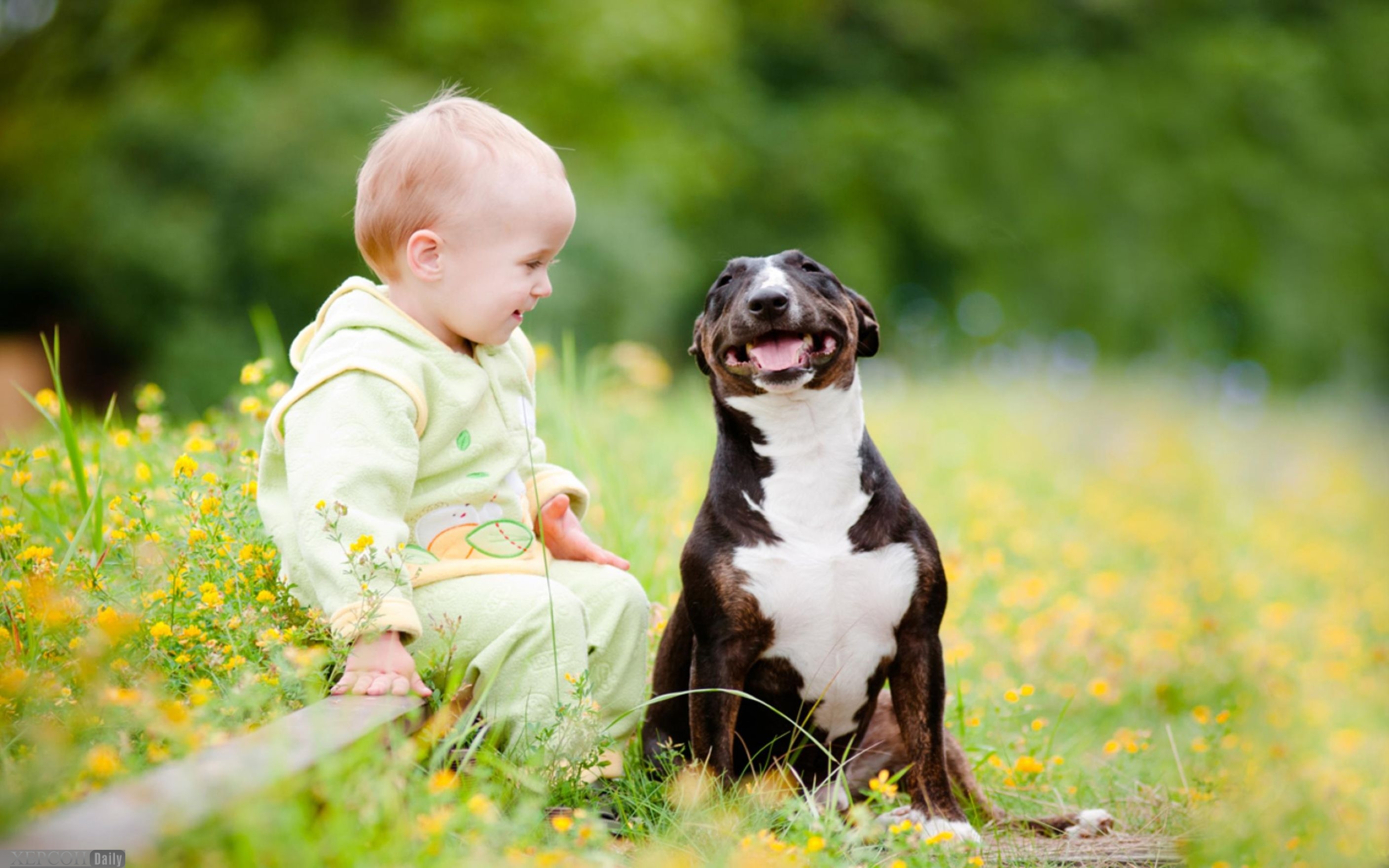 Dog smiling playtime. Для детей. Животные. Собака для детей. Дети с животными. Малыши животных.