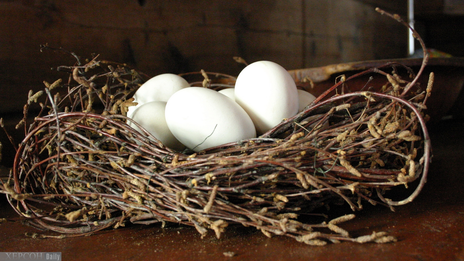 К чему снятся яйца куриные в гнезде. Гнездо с яйцами. Куриные яйца в гнезде. Куриные гнезда. Свежеснесенные куриные яйца.
