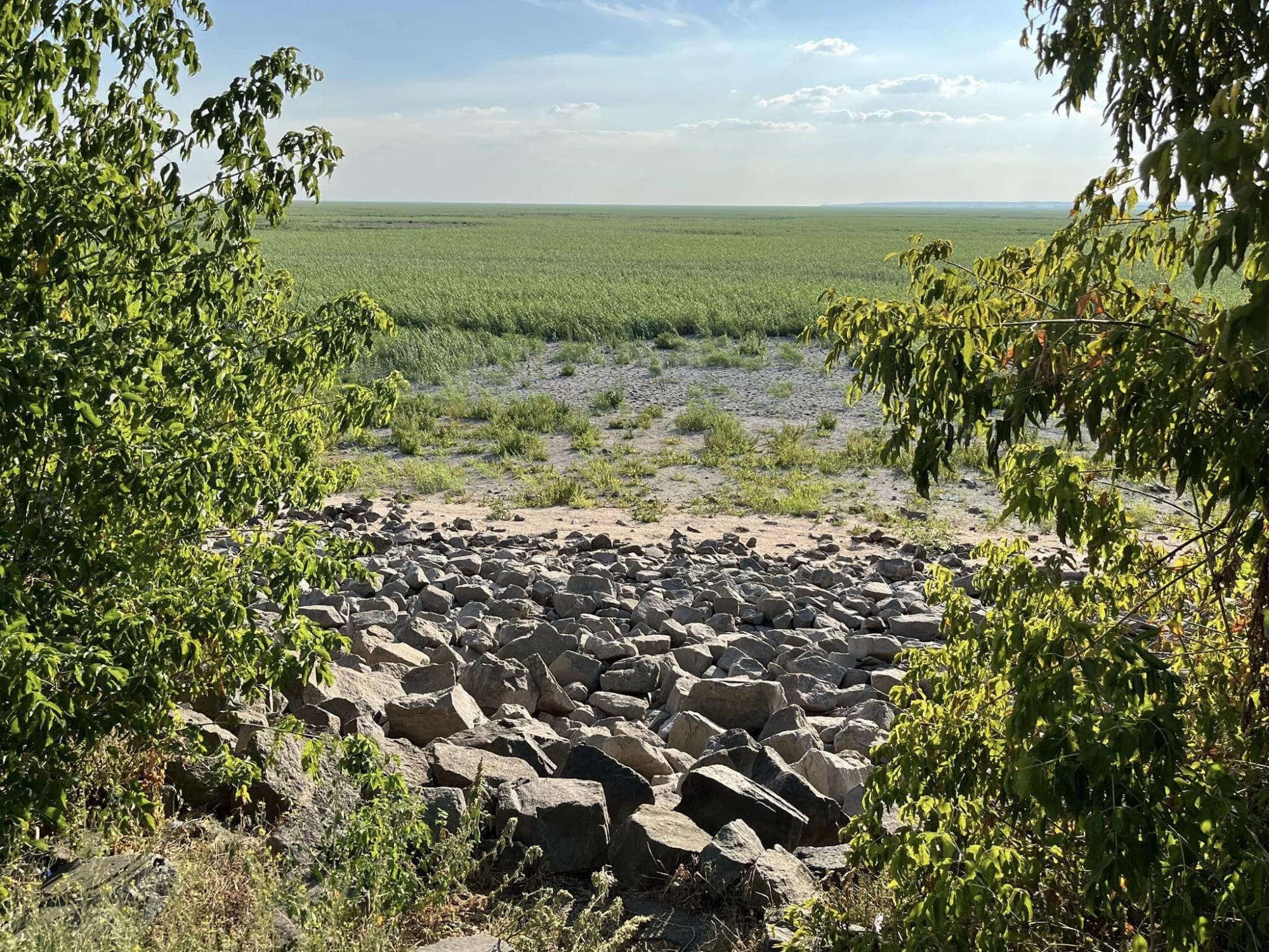 Академік Яків Дідух: Нова екосистема на Каховському водосховищі сформується за 40 років