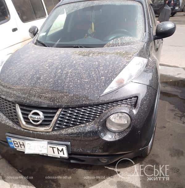 Авто в Одесі після "брудного дощу"