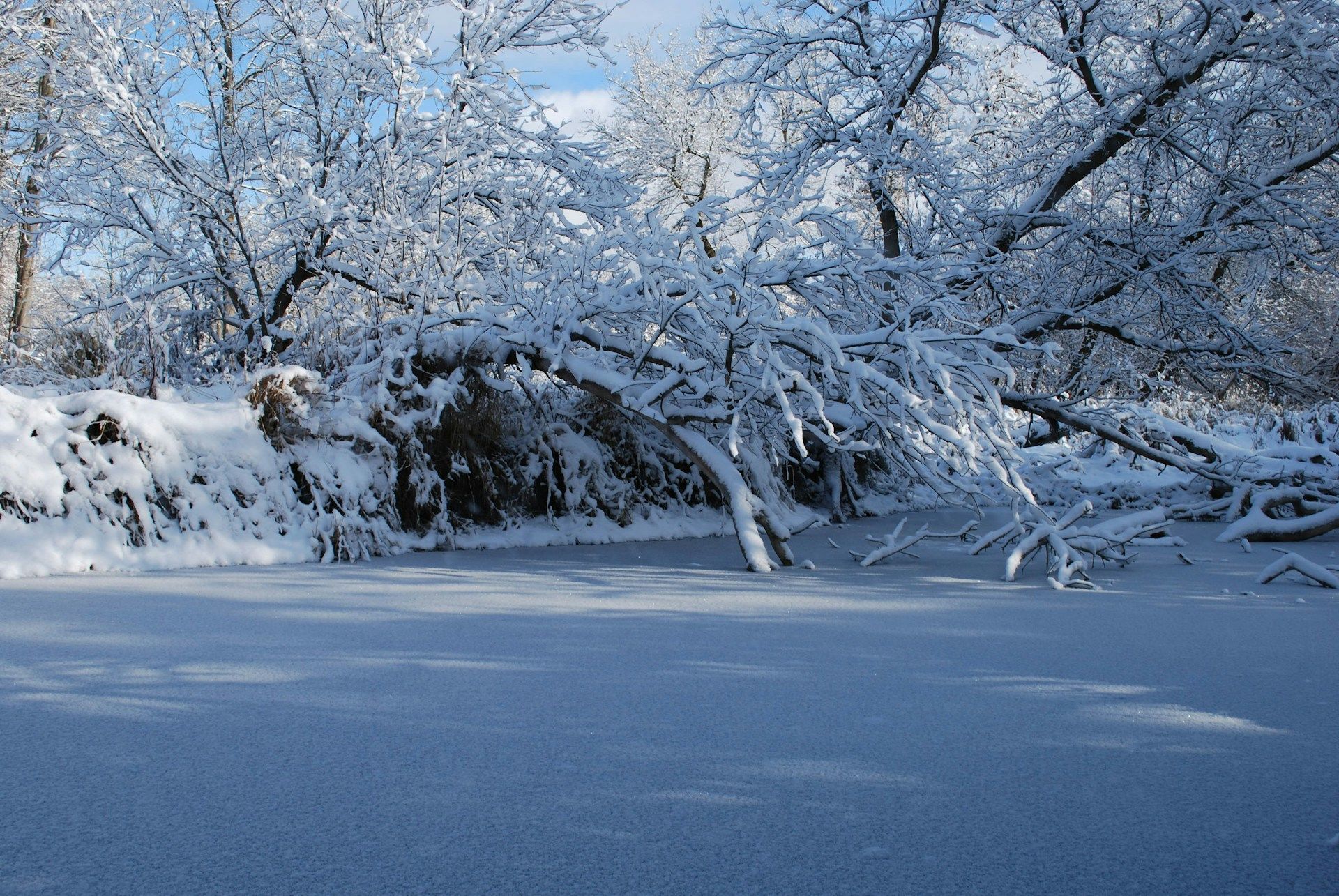 27 січня заокруглені вали після хуртовини — чекайте на великий урожай / © Unsplash