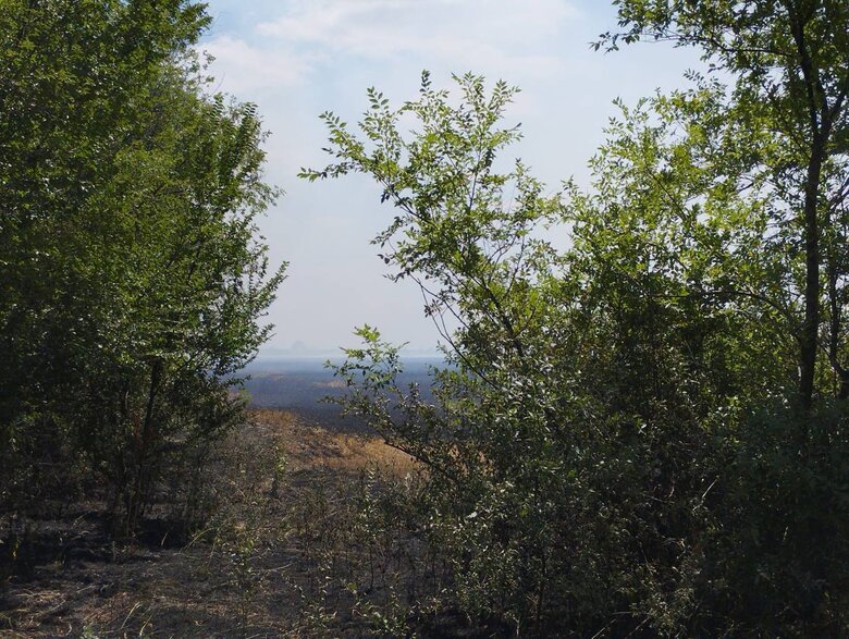На Херсонщині через російські обстріли горіли поля із збіжжям та лісопосадка