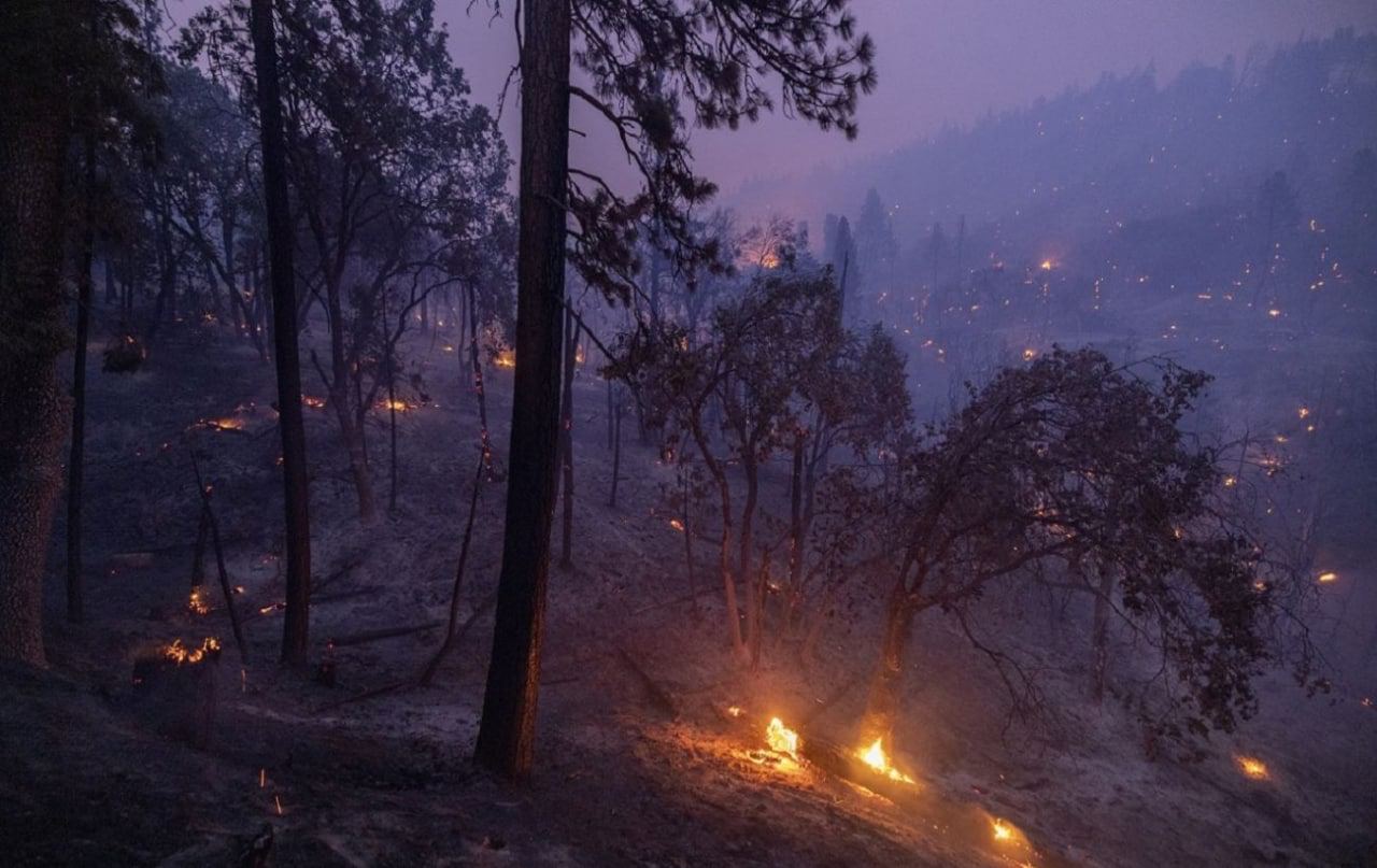 В Сибири не могут погасить масштабные лесные пожары из-за нехватки военных, которых отправили на войну в Украину
