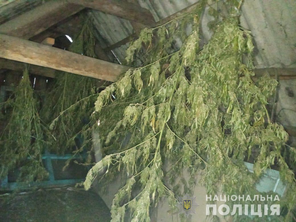 У домашнего насильника в Бериславском районе изъяли 4 килограмма конопли